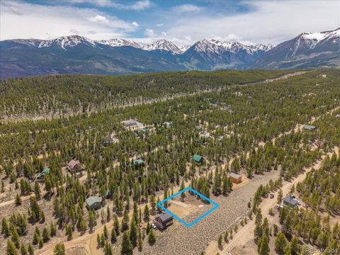 123 Birch Drive Leadville CO 80461
