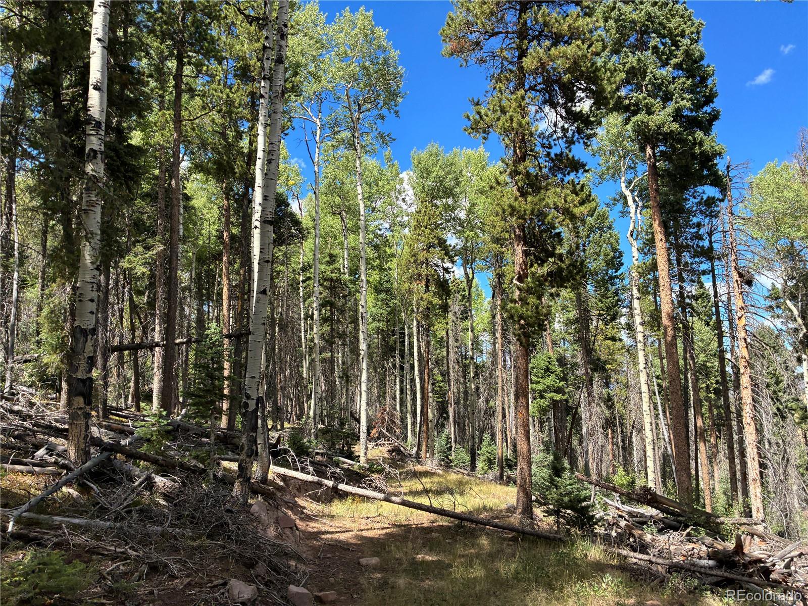 LOT 2380 Benton Road