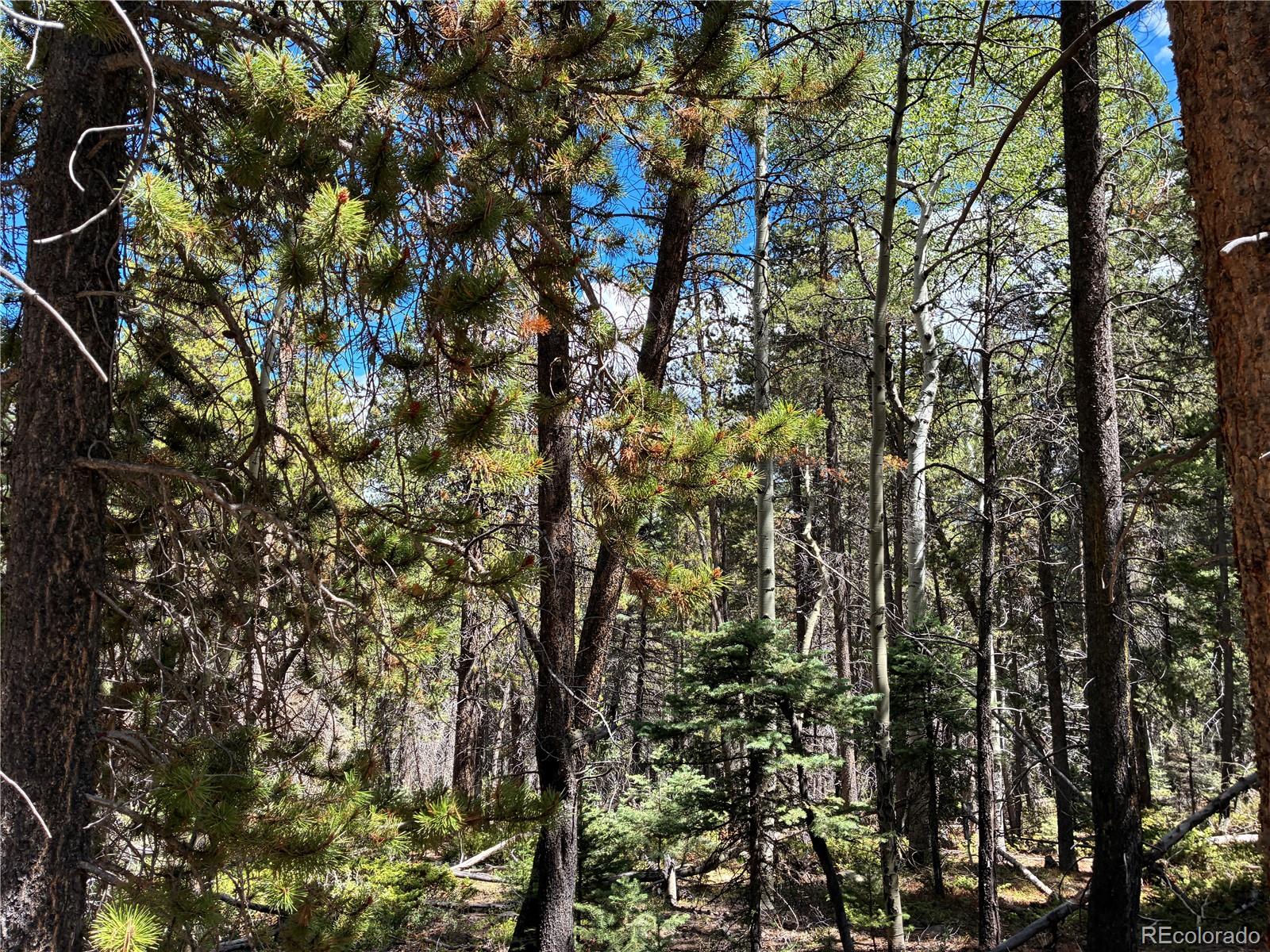 LOT 2380 Benton Road