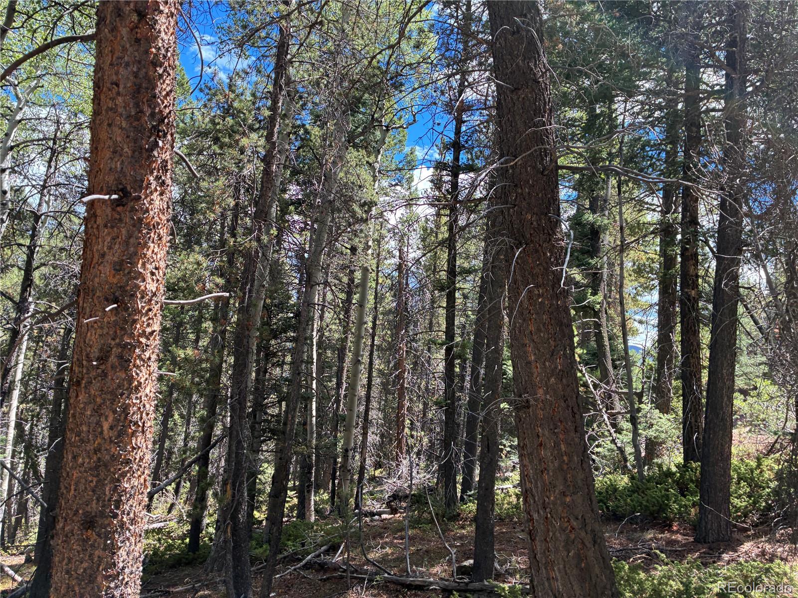 LOT 2380 Benton Road