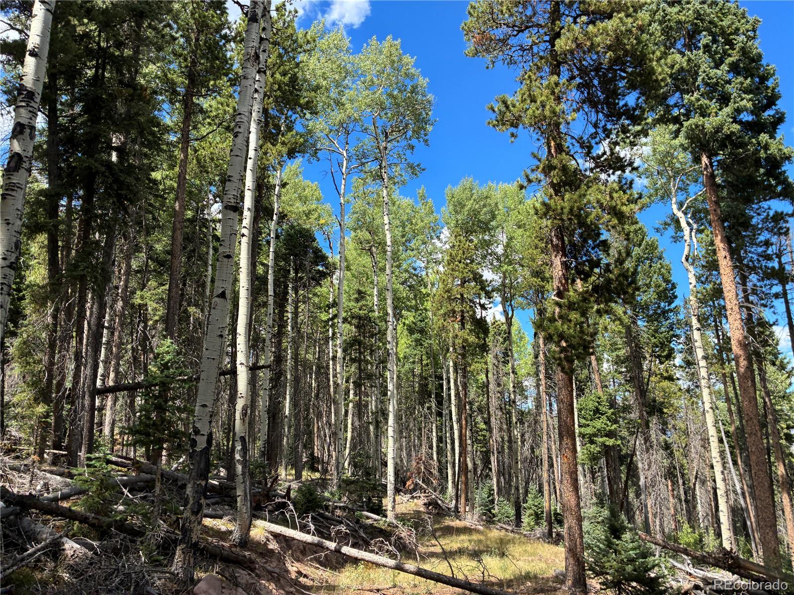 LOT 2380 Benton Road