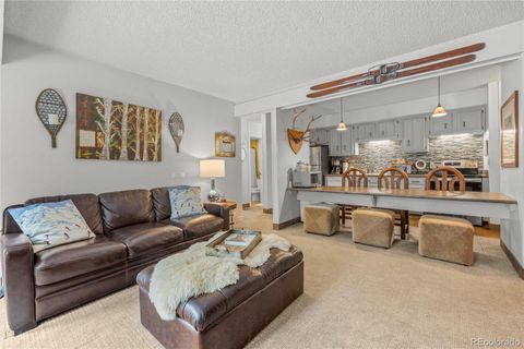 1179 Ski Hill Road 147 Breckenridge CO 80424