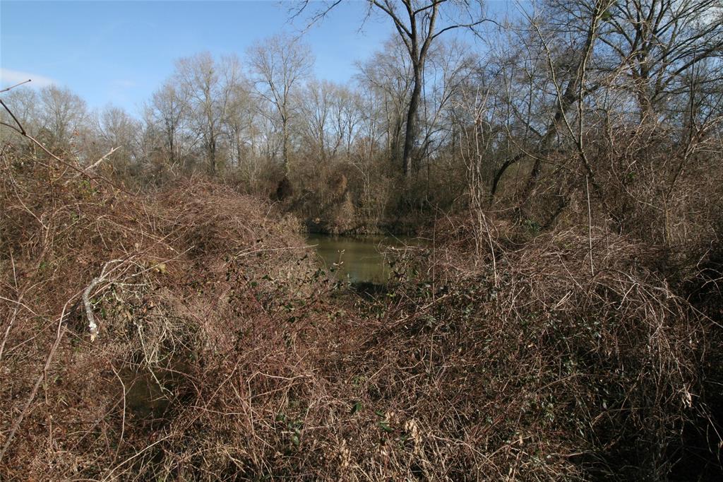 TBD VZ County Road 1905