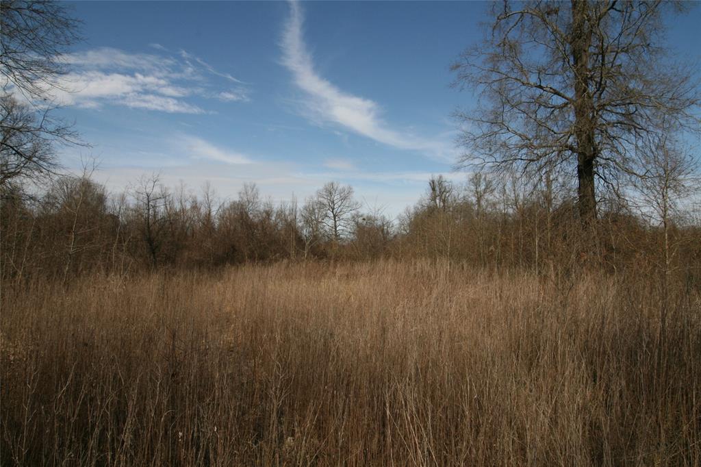 TBD VZ County Road 1905