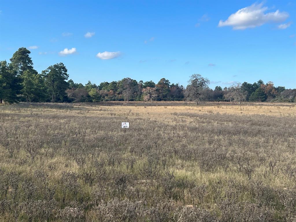 Three Lakes Ranch - Land