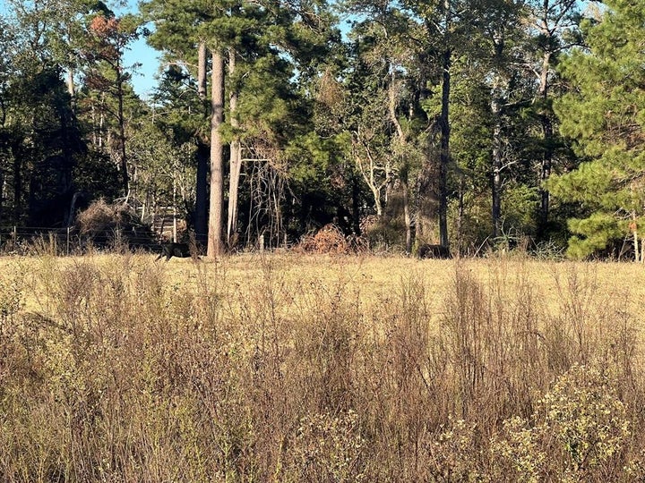 Photo 1 of 13 — tbd Pr 1315, Centerville, TX 75833