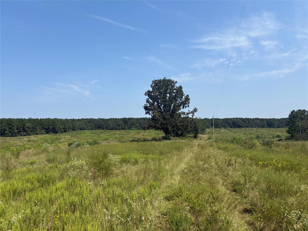 TBD 000 County Road 4378