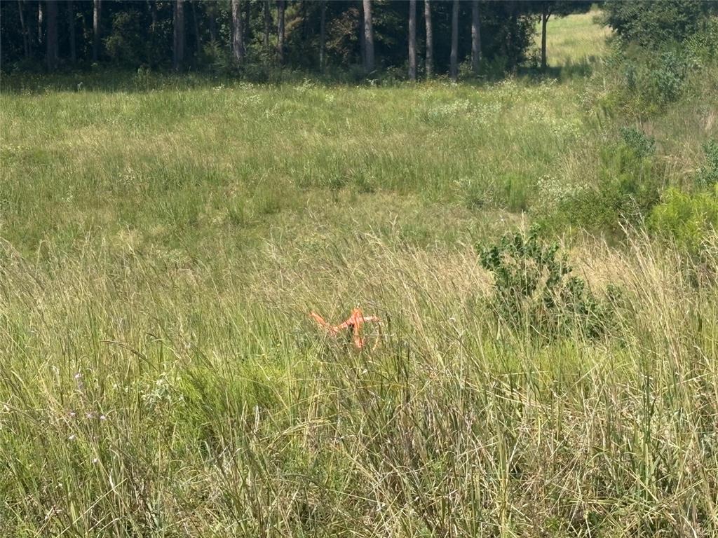 TBD 000 County Road 4378