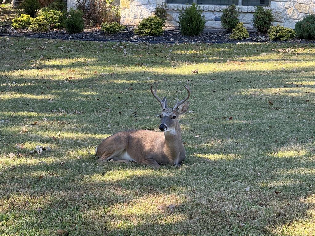 Pinnacle Club Ph 02 Sec G - Land