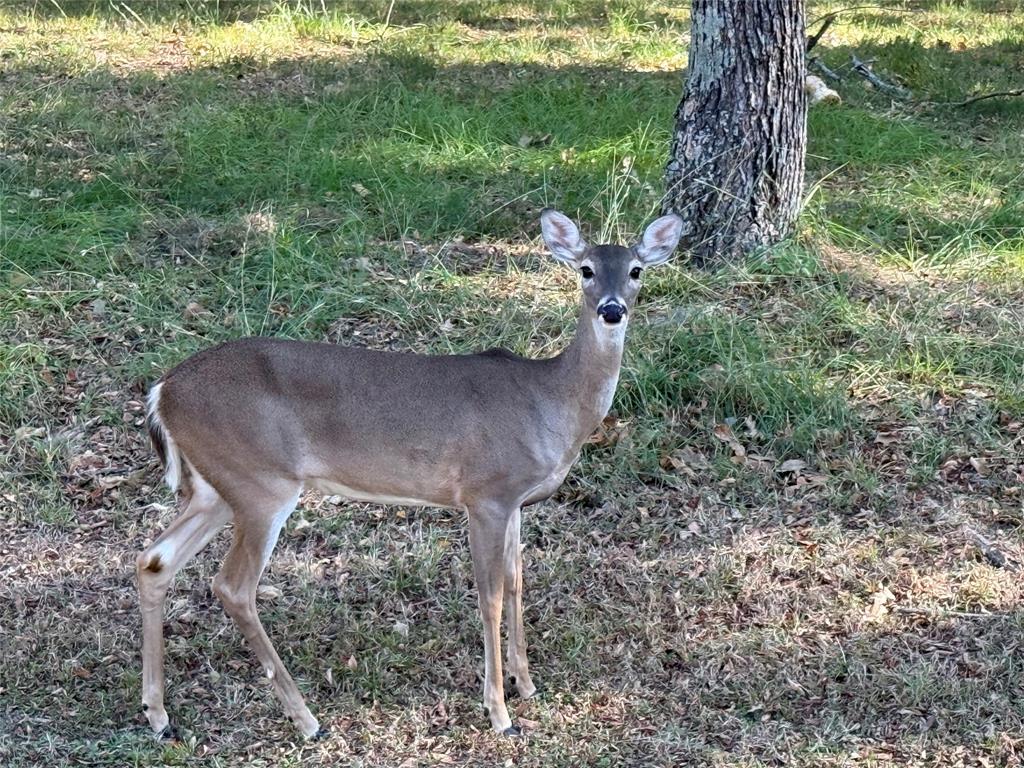 Pinnacle Club Ph 02 Sec G - Land