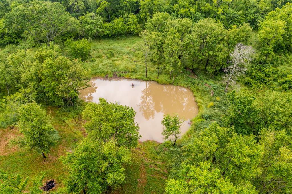 T Ross Abstract - Farm