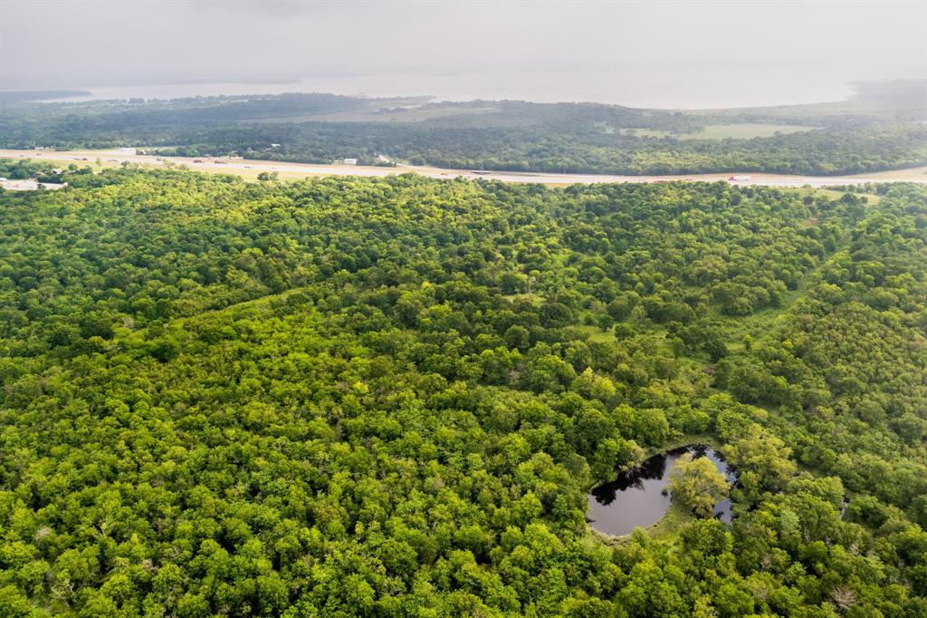 T Ross Abstract - Farm