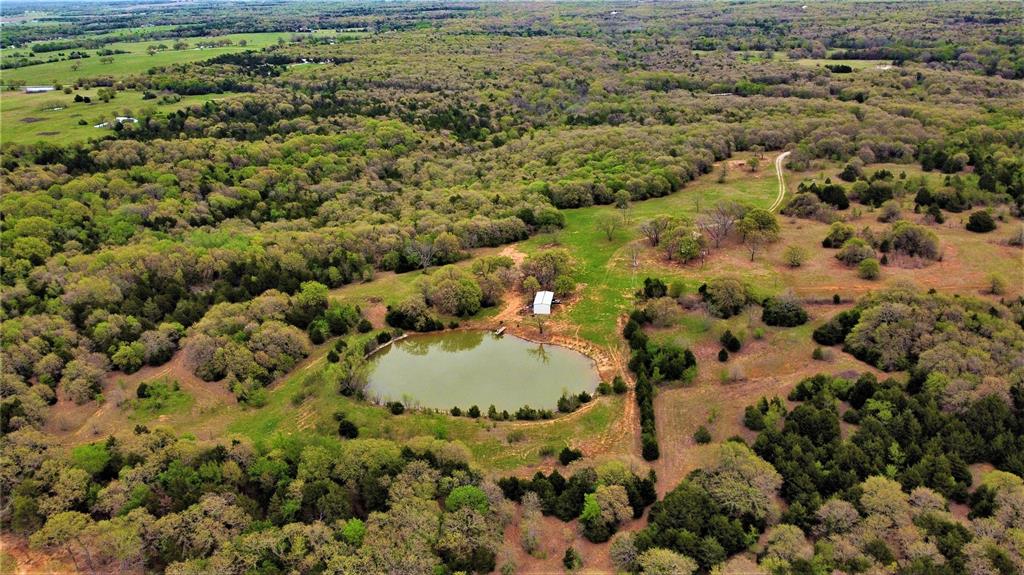 1619 COUNTY RD 156 Road