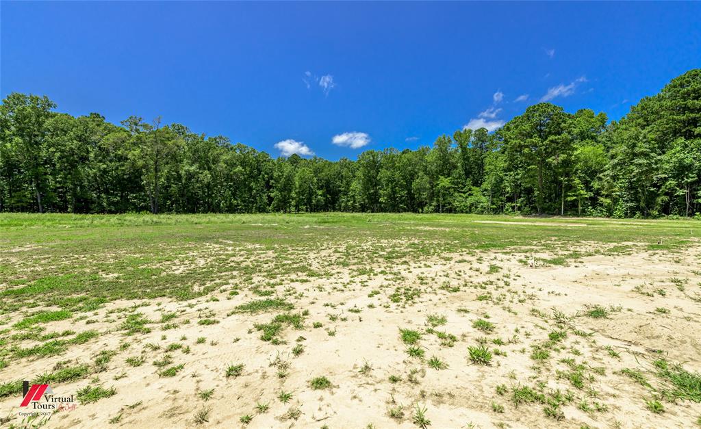 790 Chalybeate Springs Road