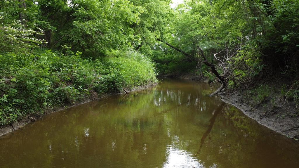0000 County Road 4806