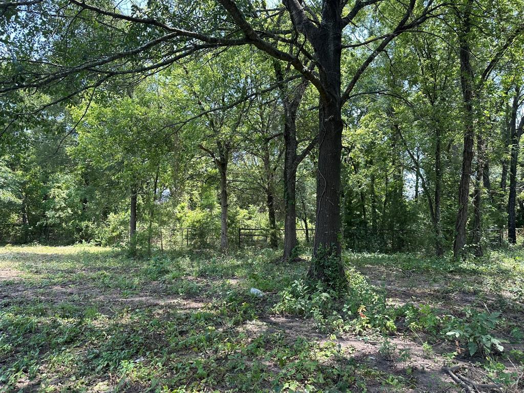 David Farm - Residential