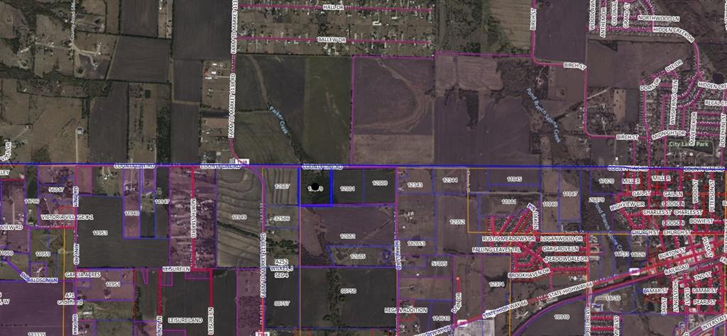 L B Wilson Surv Abs 224 - Land