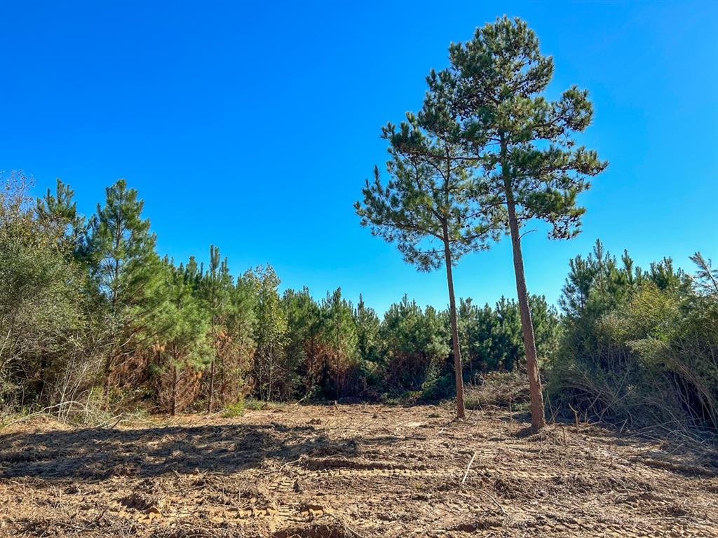 8 County Road 3121