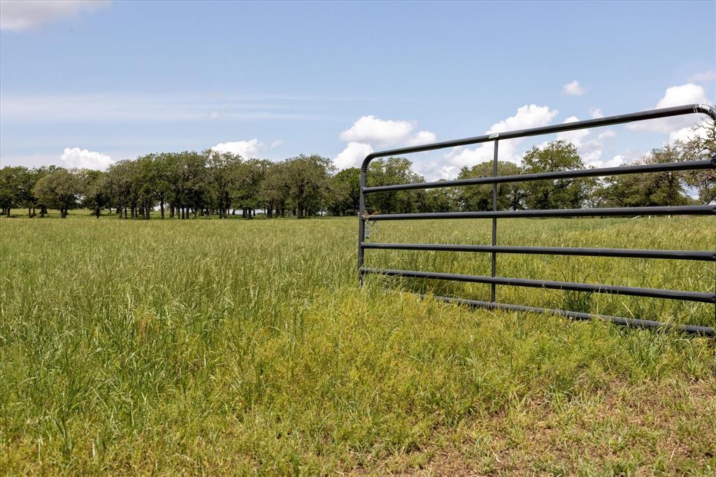 Catherine Campbell Surv A-142 - Residential