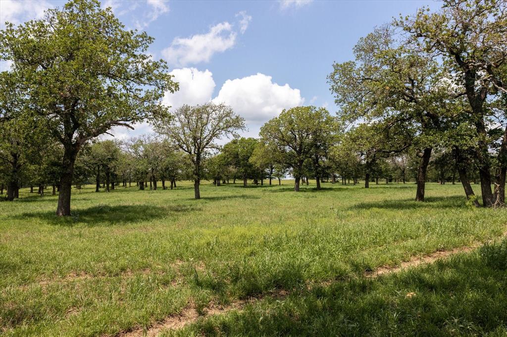 Catherine Campbell Surv A-142 - Residential