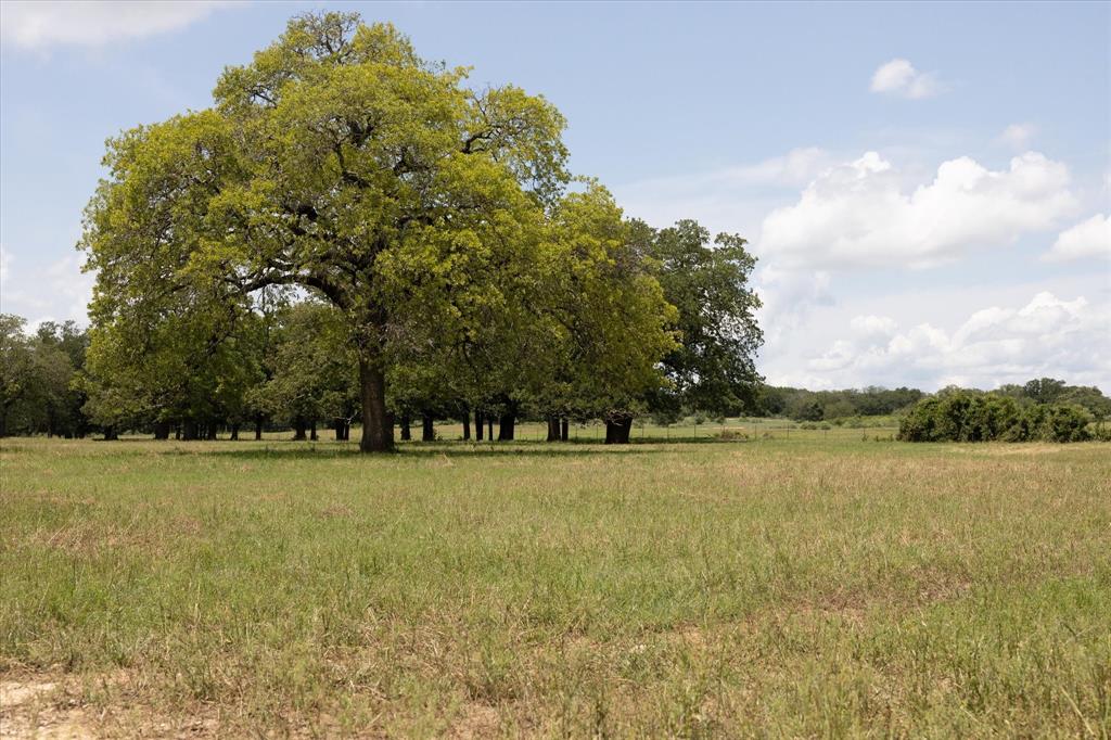 Catherine Campbell Surv A-142 - Residential