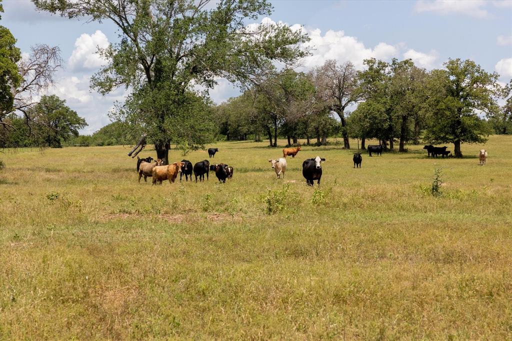 Catherine Campbell Surv A-142 - Residential