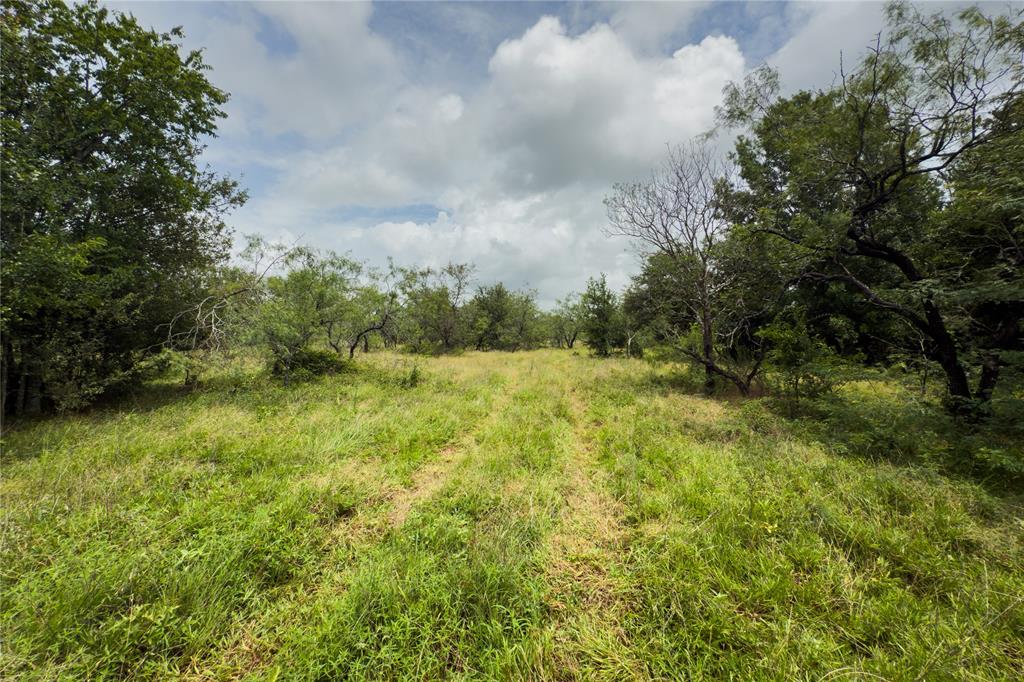 Lot 8 County Road 173