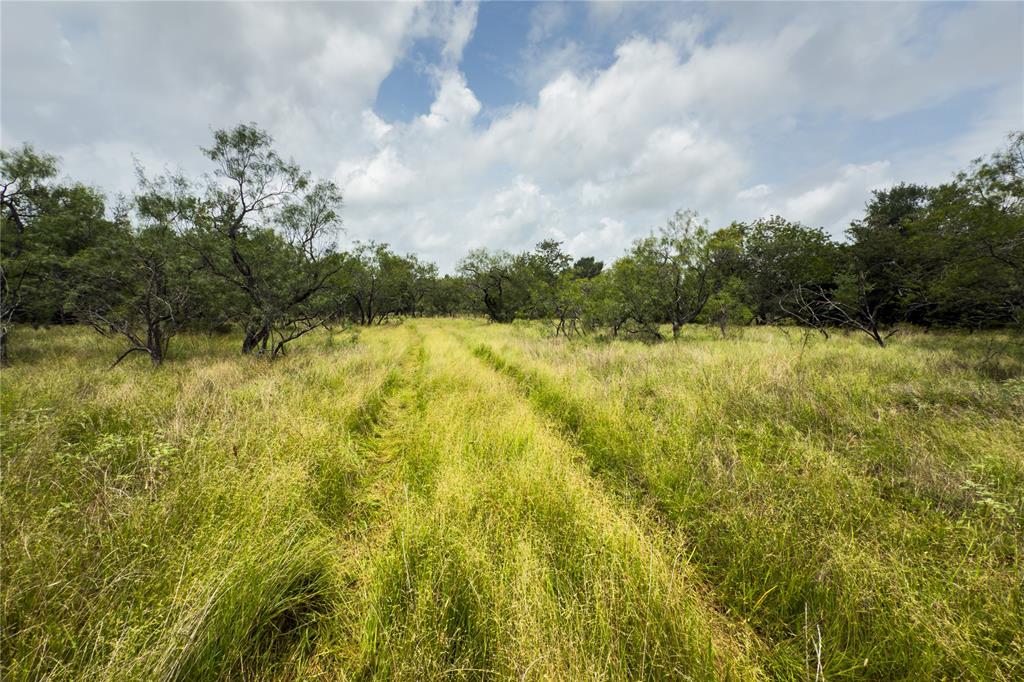 Lot 8 County Road 173