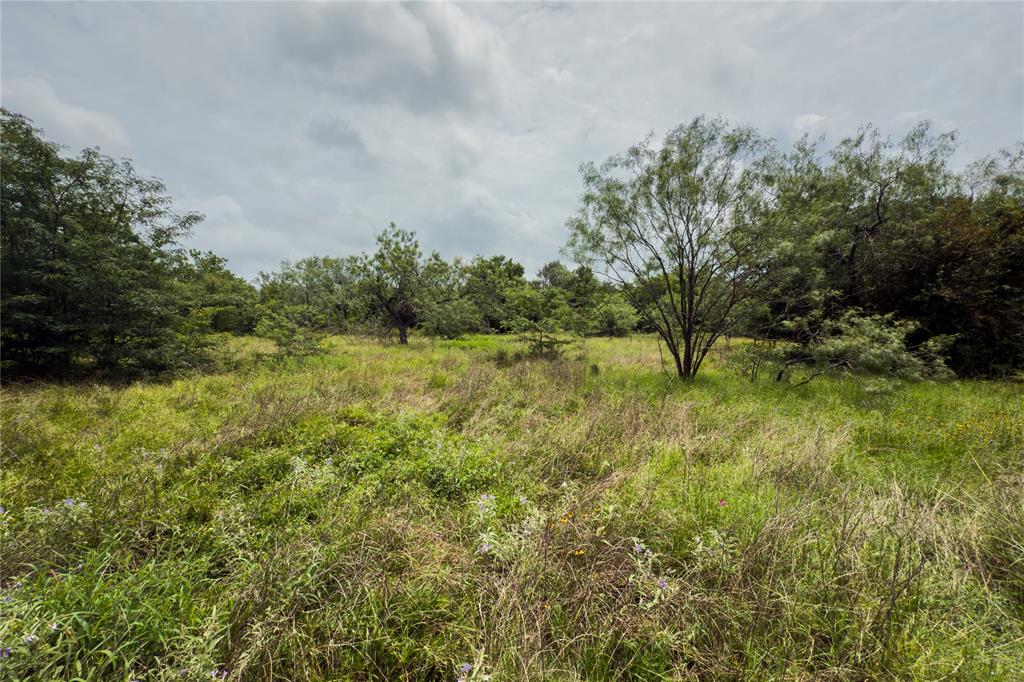 Lot 8 County Road 173