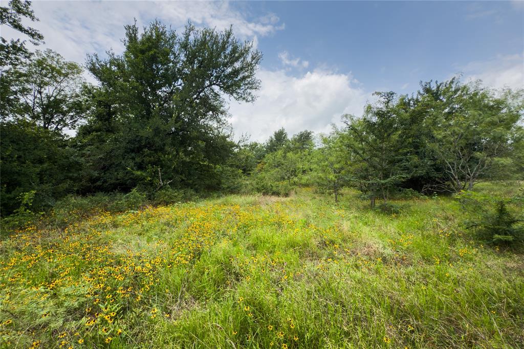 Lot 8 County Road 173