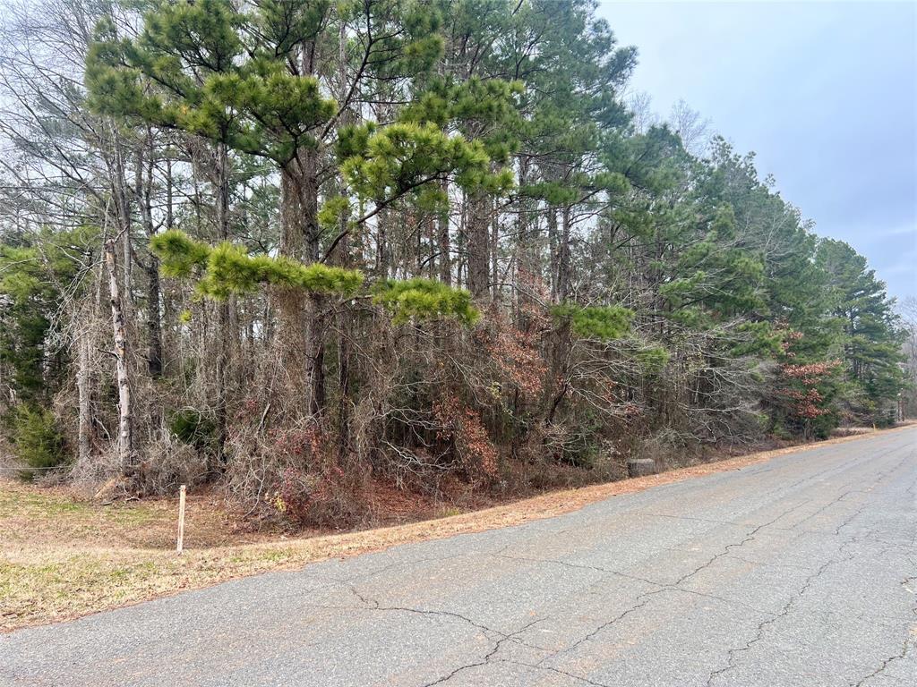 0 Carrier Avenue