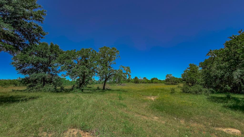 Te&L Co Surv Sec #2749 Abs # 7 - Farm