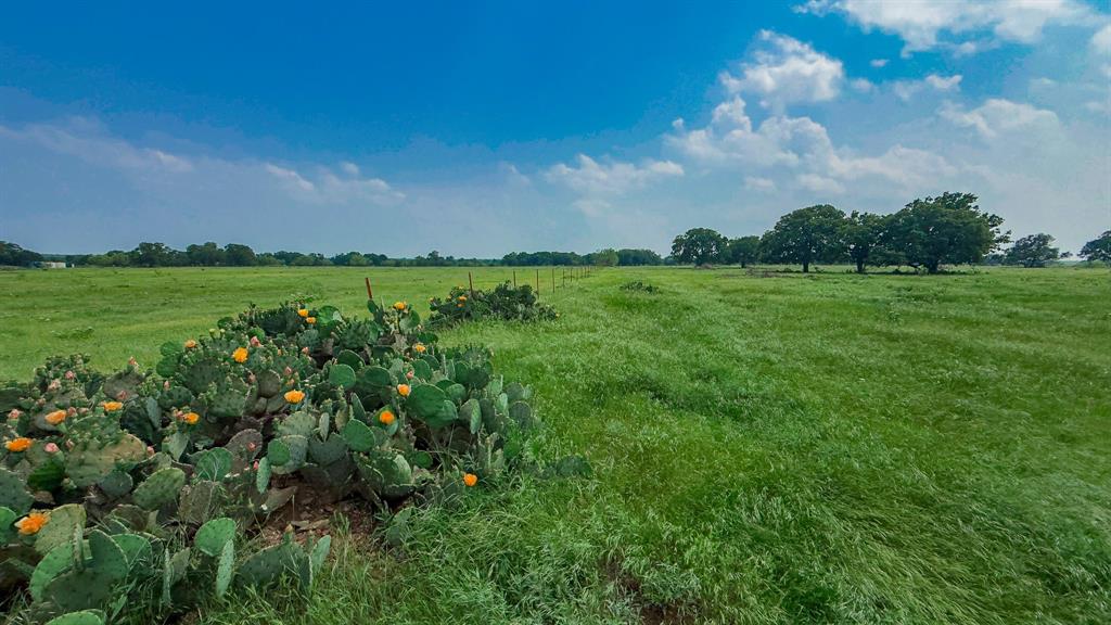 Te&L Co Surv Sec #2749 Abs # 7 - Farm