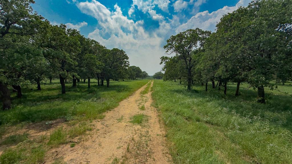 Te&L Co Surv Sec #2749 Abs # 7 - Farm