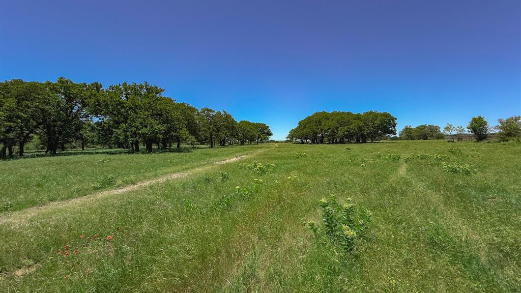 Te&L Co Surv Sec #2749 Abs # 7 - Farm