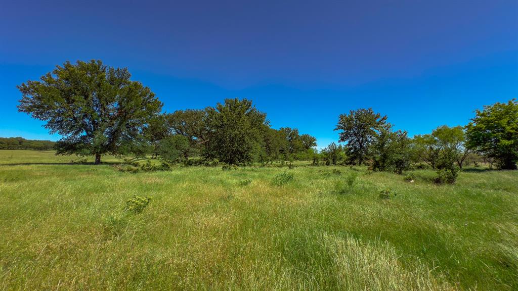 Te&L Co Surv Sec #2749 Abs # 7 - Farm