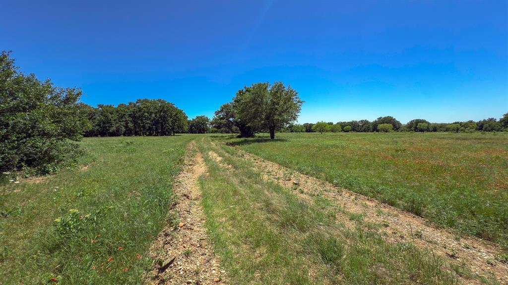 Te&L Co Surv Sec #2749 Abs # 7 - Farm