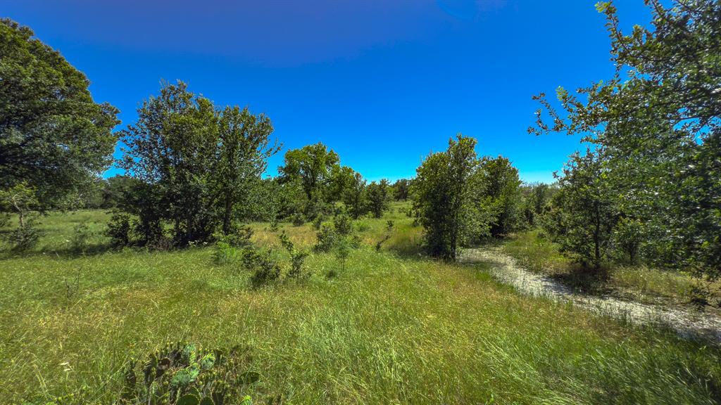 Te&L Co Surv Sec #2749 Abs # 7 - Farm