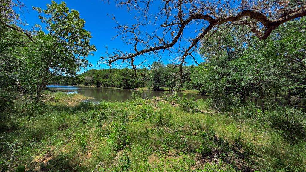 Te&L Co Surv Sec #2749 Abs # 7 - Farm