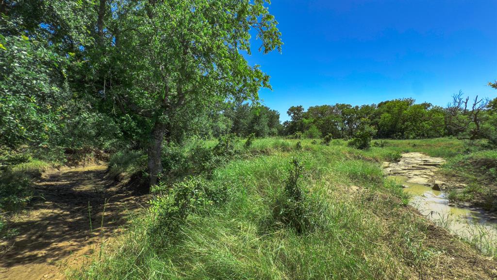 Te&L Co Surv Sec #2749 Abs # 7 - Farm