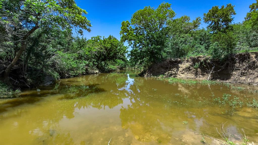 Te&L Co Surv Sec #2749 Abs # 7 - Farm