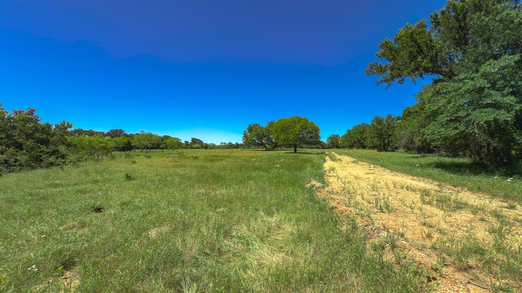 Te&L Co Surv Sec #2749 Abs # 7 - Farm