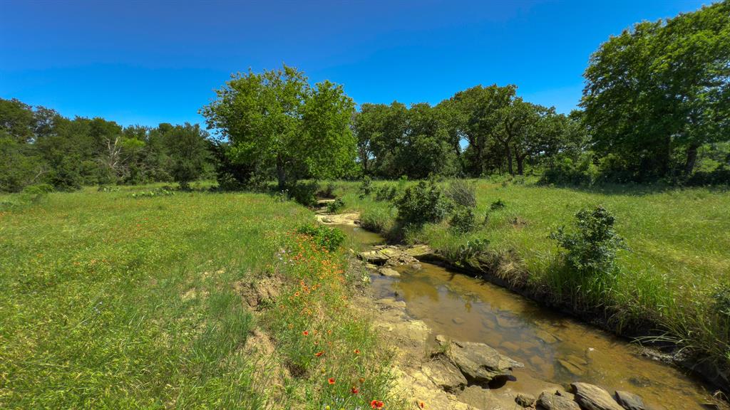 Te&L Co Surv Sec #2749 Abs # 7 - Farm