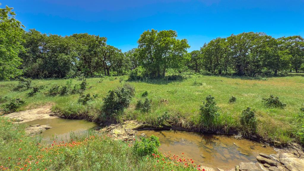 Te&L Co Surv Sec #2749 Abs # 7 - Farm