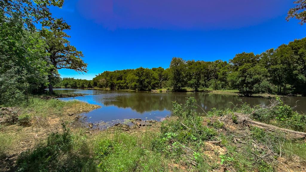 Te&L Co Surv Sec #2749 Abs # 7 - Farm