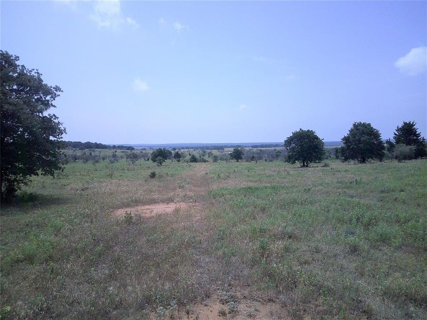 Yes you can own a piece of Texas with Minerals!! What a beautiful 35 ac  tract of land overloooking the north Texas hill country with mature oaks, elevation changes,  and plenty of wildlife. The perfect recreational tract of land to call home with minimal restrictions, no mobiles, no mfg homes, site built only. Come out and pick the tract of land that suits you best. Electricity available, in area of good water wells, property under ag for low taxes and just a short drive back to town. Look at plat in pictures of other tracts available.Partial minerals do convey!