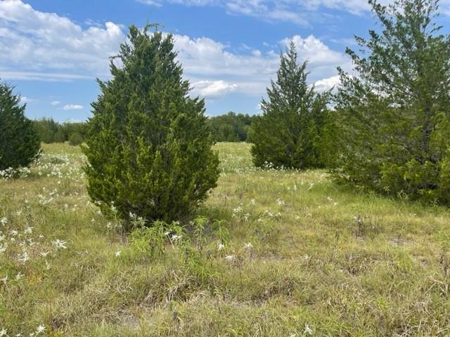 J.B. ANDERSON SURVEY A-2 - Land