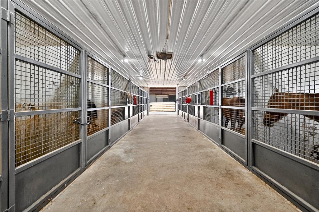 kitchen patsy - Farm