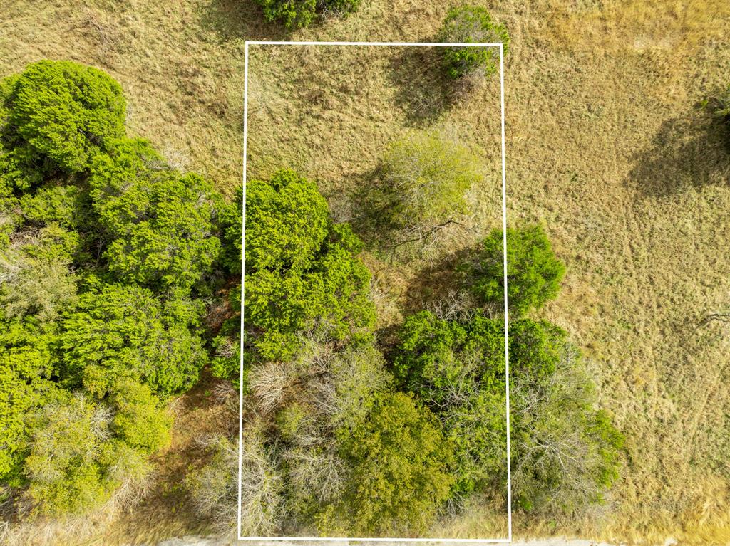 White Bluff #38 - Land