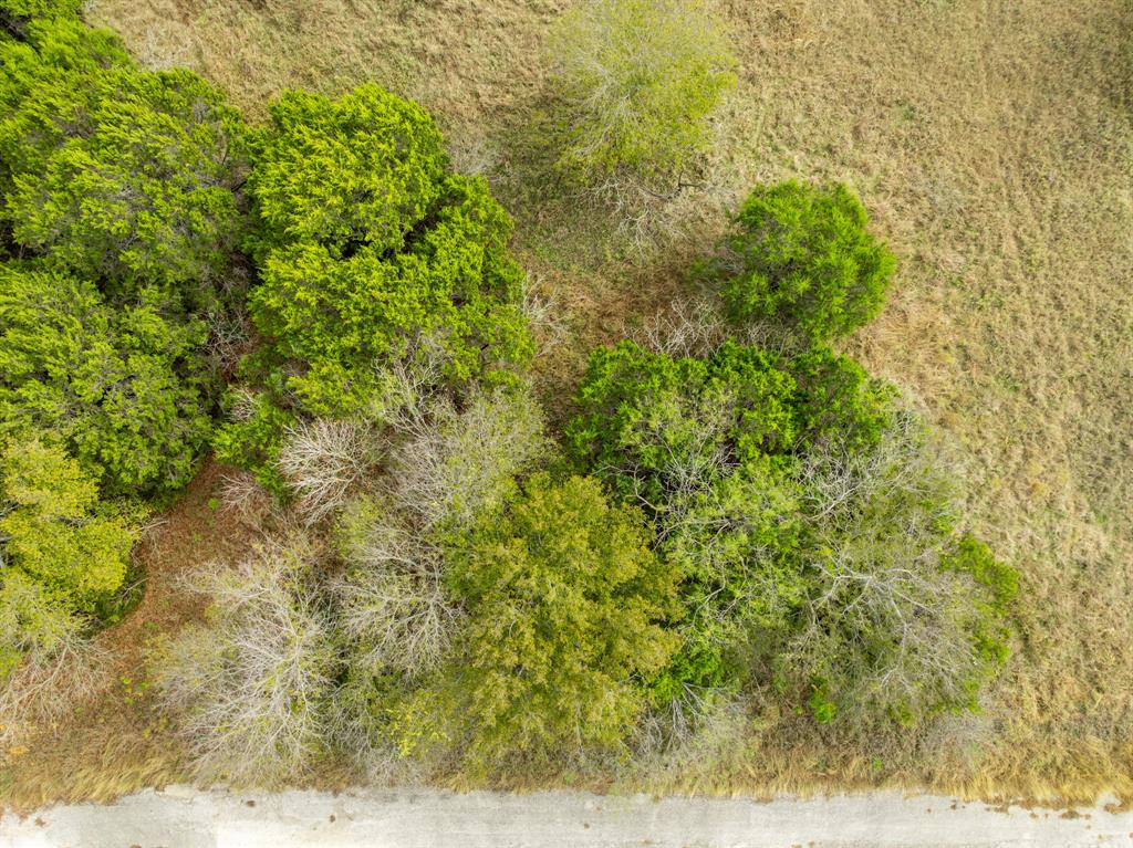 White Bluff #38 - Land